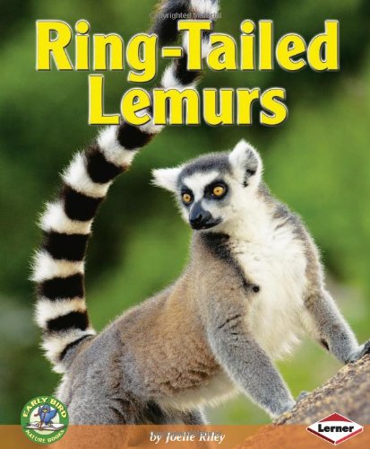 Ringtailed Lemurs Joelle Riley