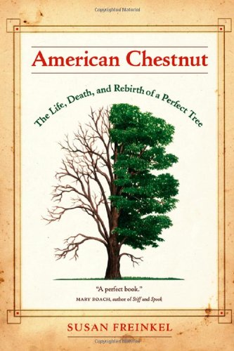 American Chestnut The Life Death And Rebirth Of A Perfect Tree 1st Edition Susan Freinkel