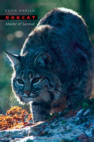 Bobcat Master Of Survival Kevin Hansen