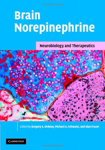Brain Norepinephrine Neurobiology And Therapeutics 1st Edition Gregory A Ordway