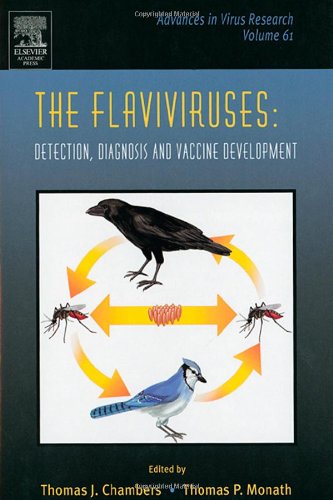The Flaviviruses Detection Diagnosis And Vaccine Development 1st Edition Thomas J Chambers