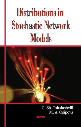 Distributions In Stochastic Network Models Illustrated Edition G Sh Tsitsiashvili