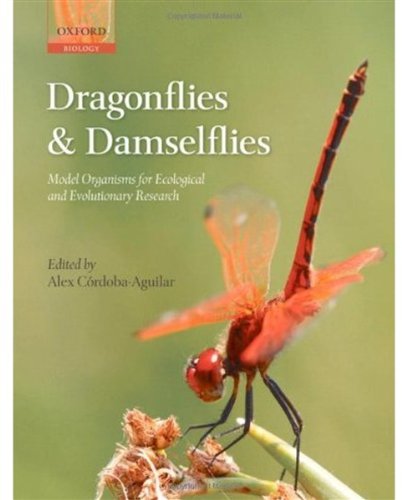 Dragonflies And Damselflies Model Organisms For Ecological And Evolutionary Research Alex Crdobaaguilar