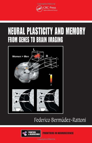 Neural Plasticity And Memory From Genes To Brain Imaging 1st Edition Federico Bermudezrattoni