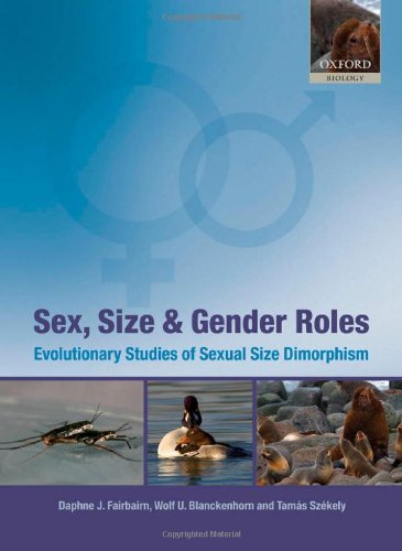 Sex Size And Gender Roles Evolutionary Studies Of Sexual Size Dimorphism 1st Edition Daphne J Fairbairn