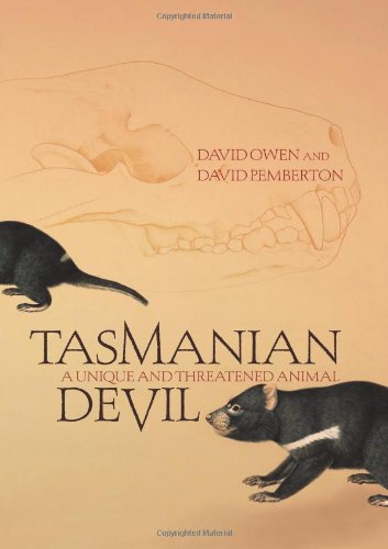 Tasmanian Devil A Unique And Threatened Animal David Owen David Pemberton