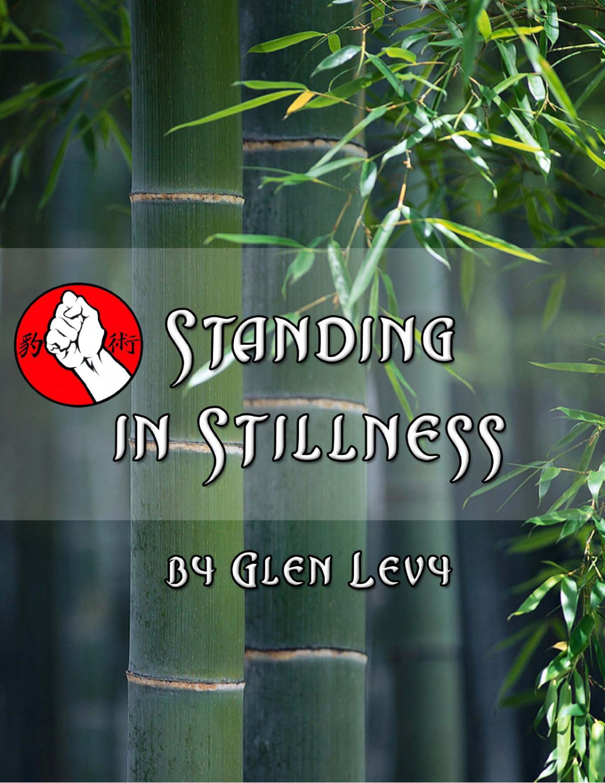 Standing In Stillness Zhanzhuang Glen Levy