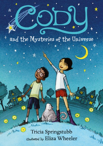 Cody And The Mysteries Of The Universe First Edition Springstubb