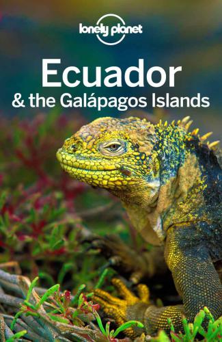 Lonely Planet Ecuador The Galapagos Islands 10th Edition St Louis