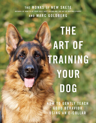 The Art Of Training Your Dog Marc Goldberg