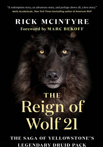 The Reign Of Wolf 21 The Saga Of Yellowstones Legendary Druid Pack Rick Mcintyre