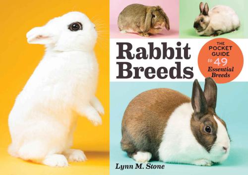 Rabbit Breeds The Pocket Guide To 49 Essential Breeds Stone