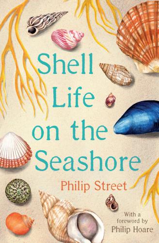 Shell Life On The Seashore Main Street Philip