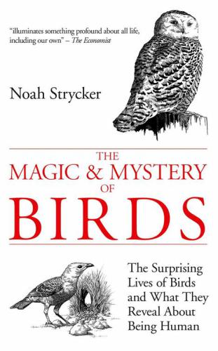 The Magic And Mystery Of Birds The Surprising Lives Of Birds And What They Reveal About Being Human Strycker