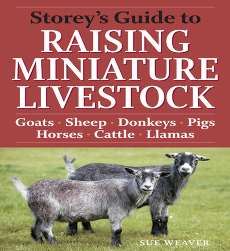 Storeys Guide To Raising Miniature Livestock Sue Weaver