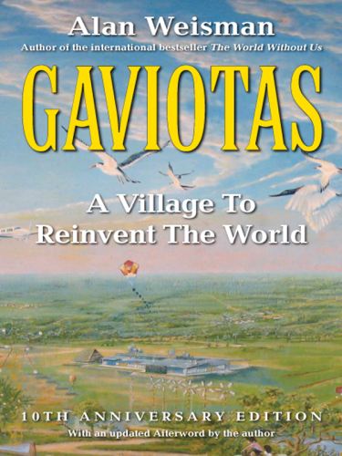 Gaviotas A Village To Reinvent The World 2nd Ed Weisman Alan