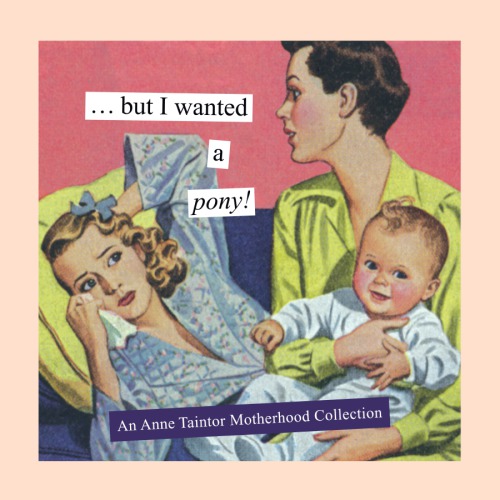 But I Wanted A Pony Anne Taintor