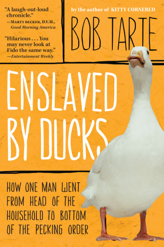 Enslaved By Ducks Tarte Bob