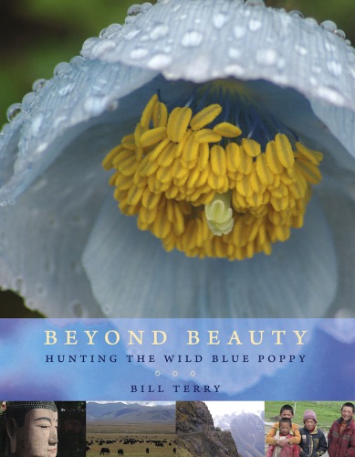 Beyond Beauty Bill Terry