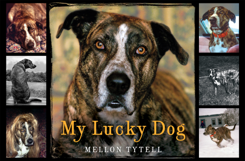 My Lucky Dog Mellon Tytell