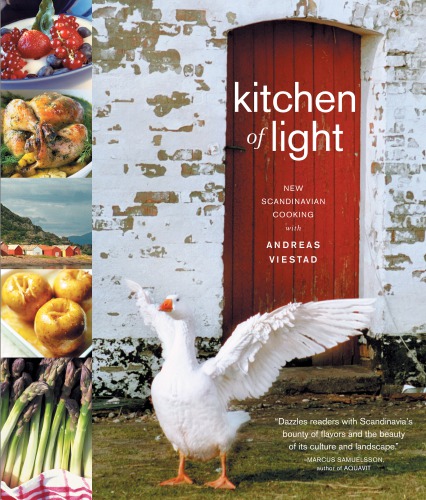 Kitchen Of Light New Scandinavian Cooking Vistad Andreasrandem