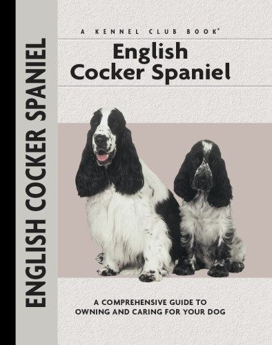 English Cocker Spaniel Haja Van Wessem