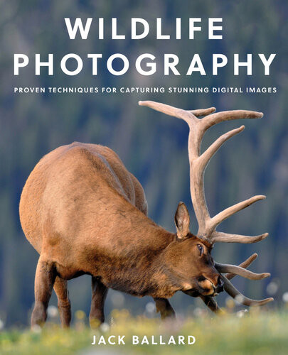 Wildlife Photography Proven Techniques For Capturing Stunning Digital Images Illustrated Jack Ballard