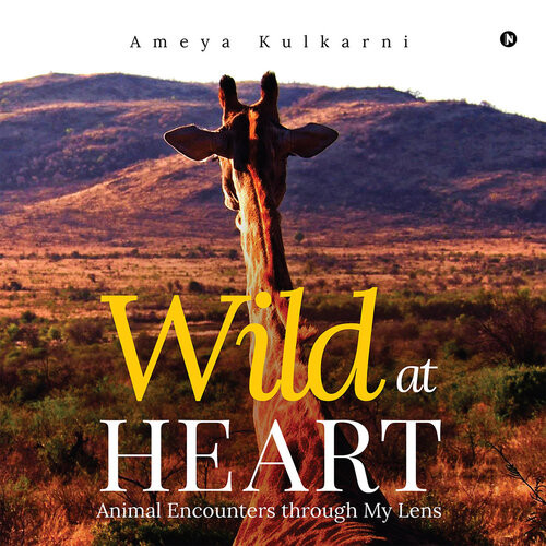 Wild At Heart Animal Encounters Through My Lens Ameya Kulkarni