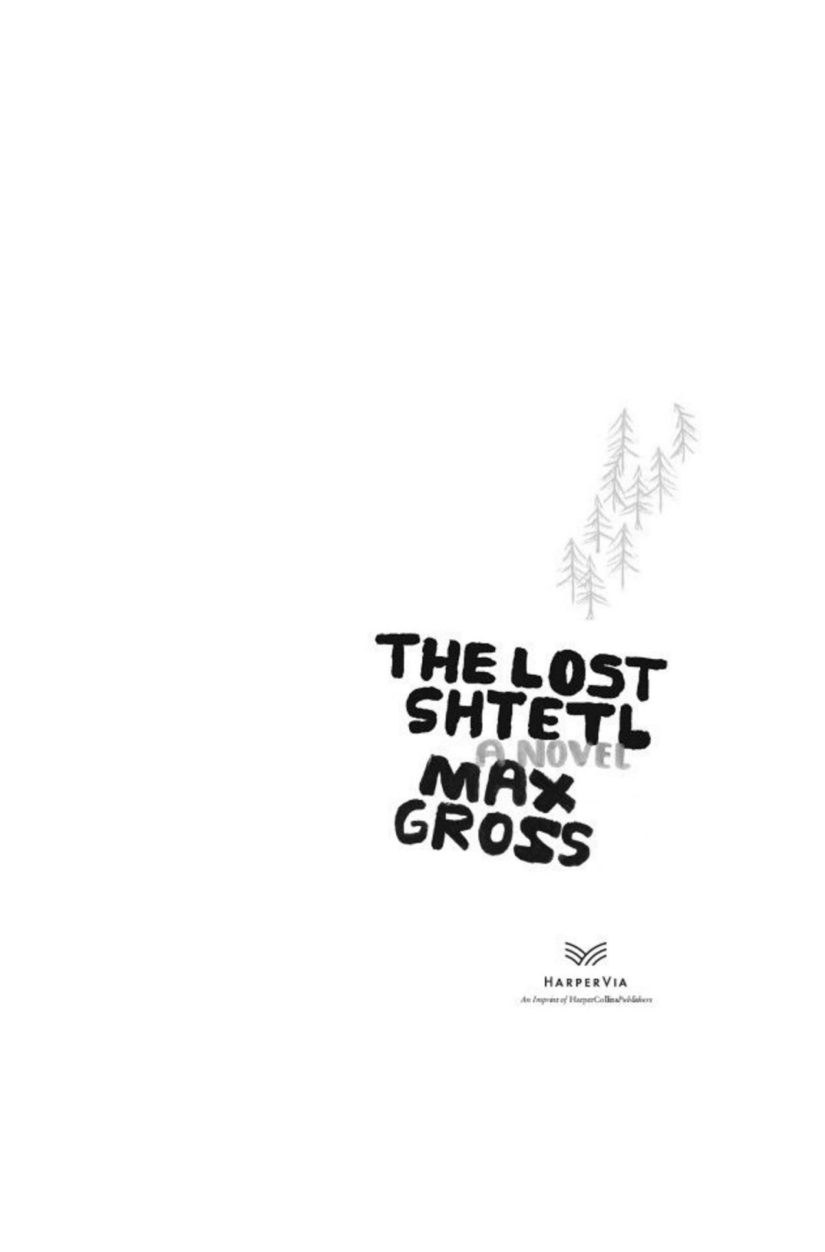 The Lost Shtetl A Novel Max Gross