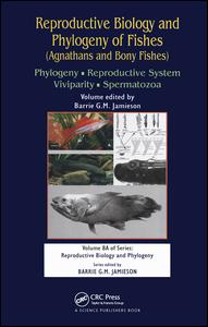 Reproductive Biology And Phylogeny Of Fishes Agnathans And Bony Fishes Phylogeny Reproductive System Viviparity Spermatozoa 1st Edition Barrie G M Jamieson Editor