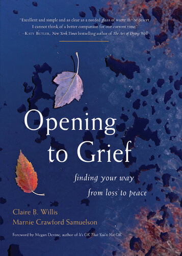 Opening To Grief Claire B Willis