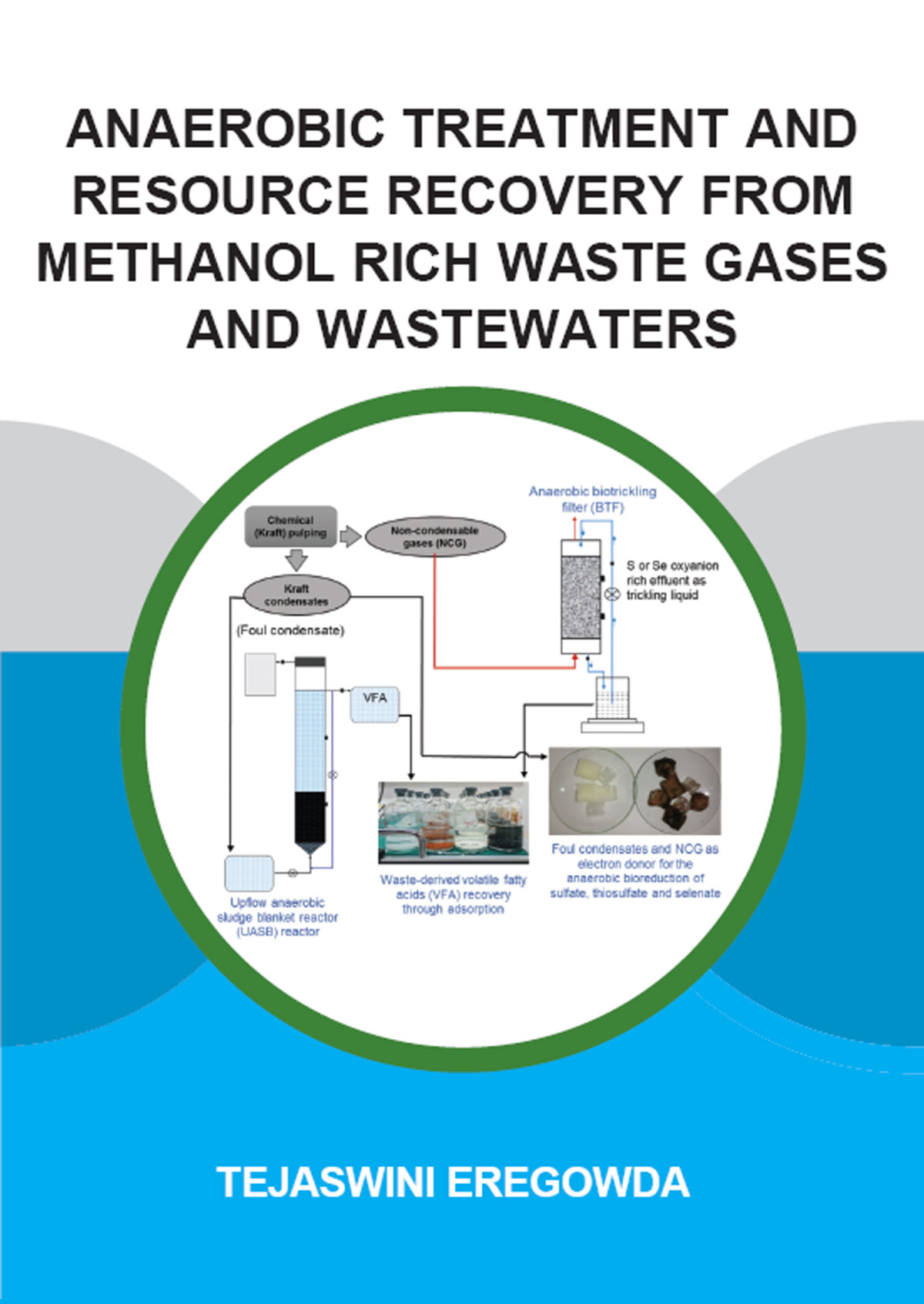 Anaerobic Treatment And Resource Recovery From Methanol Rich Waste Gases And Wastewaters 1st Edition Tejaswini Eregowda Author