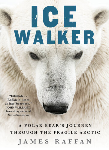 Ice Walker A Polar Bears Journey Through The Fragile Arctic 1st Edition James Raffan