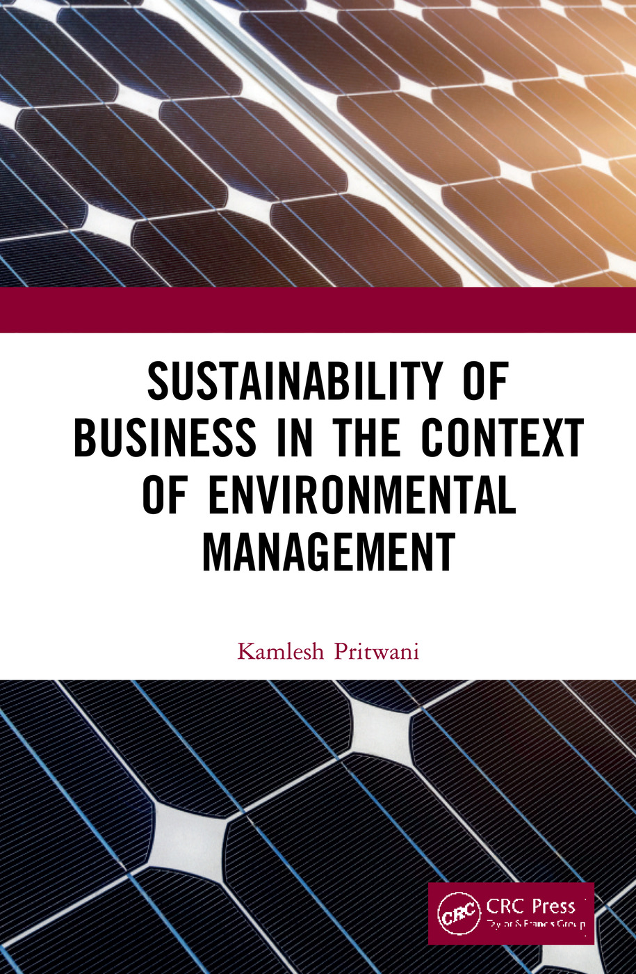 Sustainability Of Business In The Context Of Environmental Management 1st Edition Kamlesh Pritwani Author