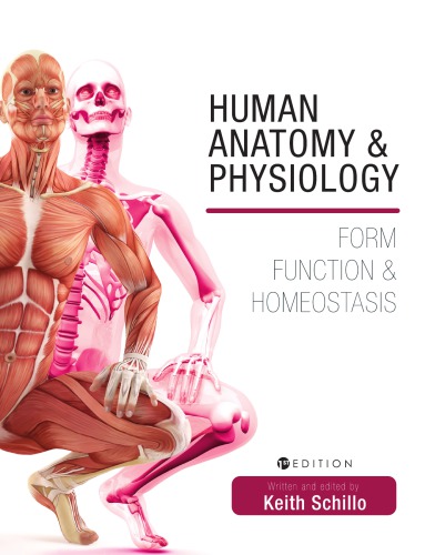 Human Anatomy And Physiology Form Function And Homeostasis 1st Edition Schillo