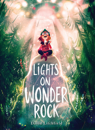 Lights On Cotton Rock Illustrated David Litchfield