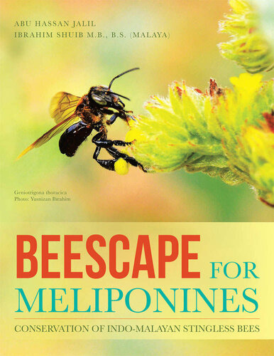 Beescape For Meliponines Conservation Of Indomalayan Stingless Bees Jalil