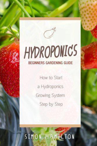 Hydroponics Beginners Gardening Guide How To Start A Hydrophonics System Step By Step Simon Hamilton