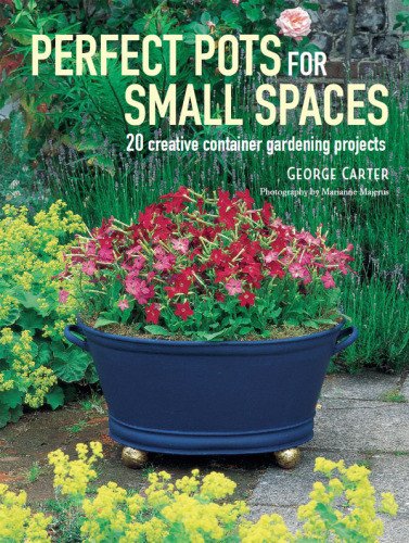 Perfect Pots For Small Spaces 20 Creative Container Gardening Projects George Carter