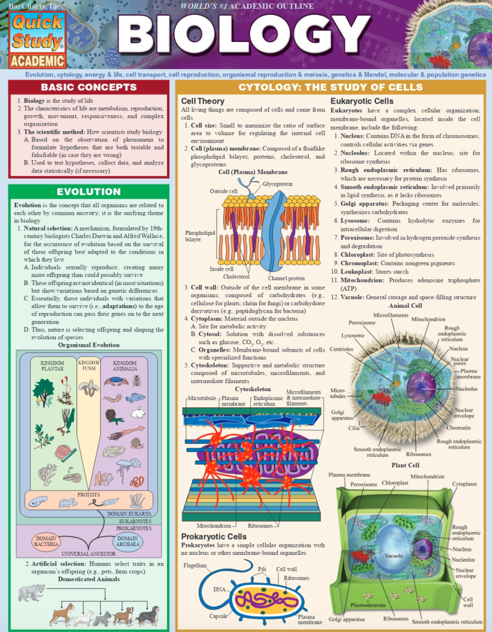 Barcharts Quickstudy Biology Barcharts Inc