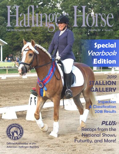 Haflinger Horse American Haflinger Association American Haflinger Registry