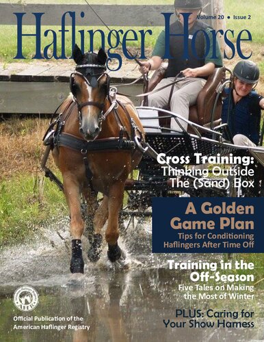 Haflinger Horse American Haflinger Association American Haflinger Registry