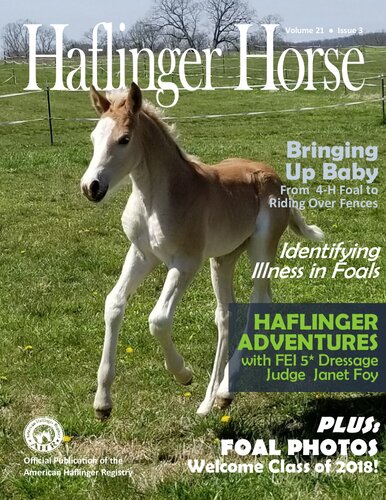 Halfinger Horse American Haflinger Association American Haflinger Registry