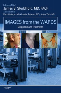 Images From The Wards Diagnosis And Treatment 1st James S Studdiford