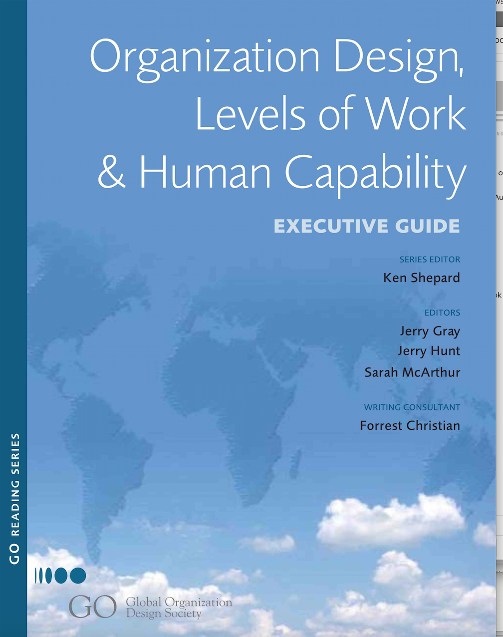 Organization Design Levels Of Work Human Capability Executive Guide Ken Shepard