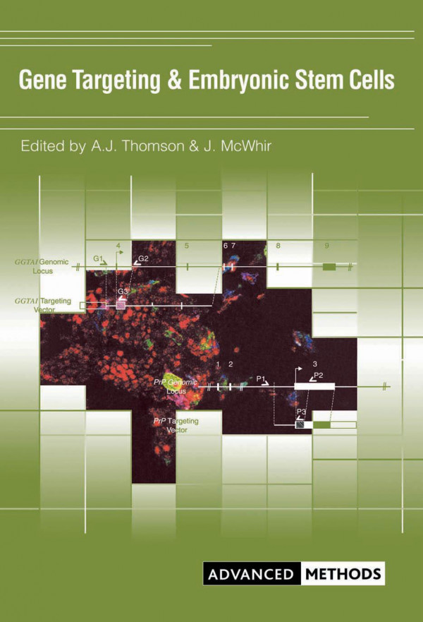 Gene Targeting And Embryonic Stem Cells 1st Edition Jim Mcwhir Author Alison Thomson Author
