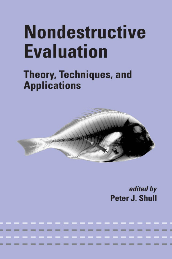 Nondestructive Evaluation Theory Techniques And Applications 1st Edition Peter J Shull Author