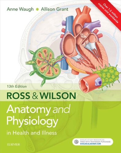 Ross Wilson Anatomy And Physiology In Health And Illness 13th Edition 13th Edition Anne Waugh