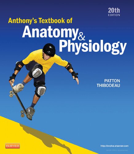 Anthonys Textbook Of Anatomy Physiology 20th Edition Kevin T Patton