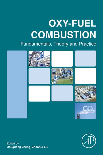 Oxyfuel Combustion Fundamentals Theory And Practice Chuguang Zheng Editor